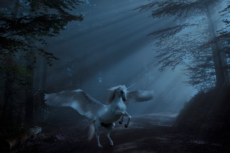 Unicorn Paradise